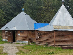 Активности старшего поколения