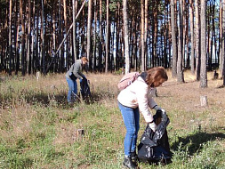 Общеобластной субботник